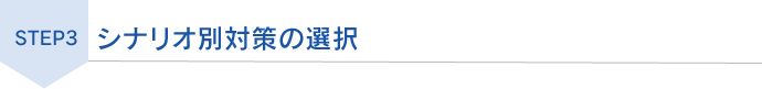 STEP3 シナリオ別対策の選択